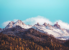 BOB半岛体育首页——一站式把体育世界揽入掌心